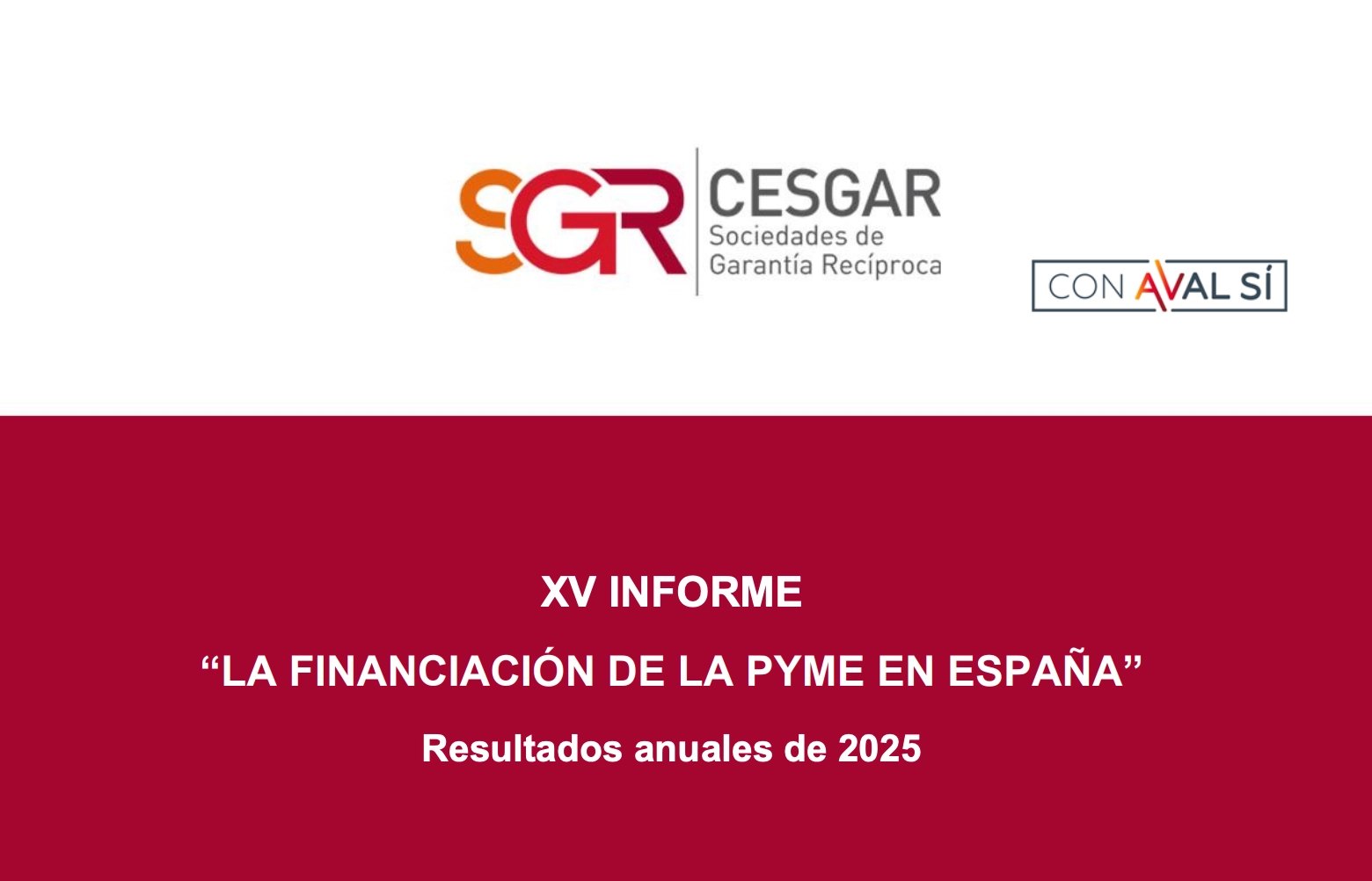 xv informe financiacion pyme espana 2025